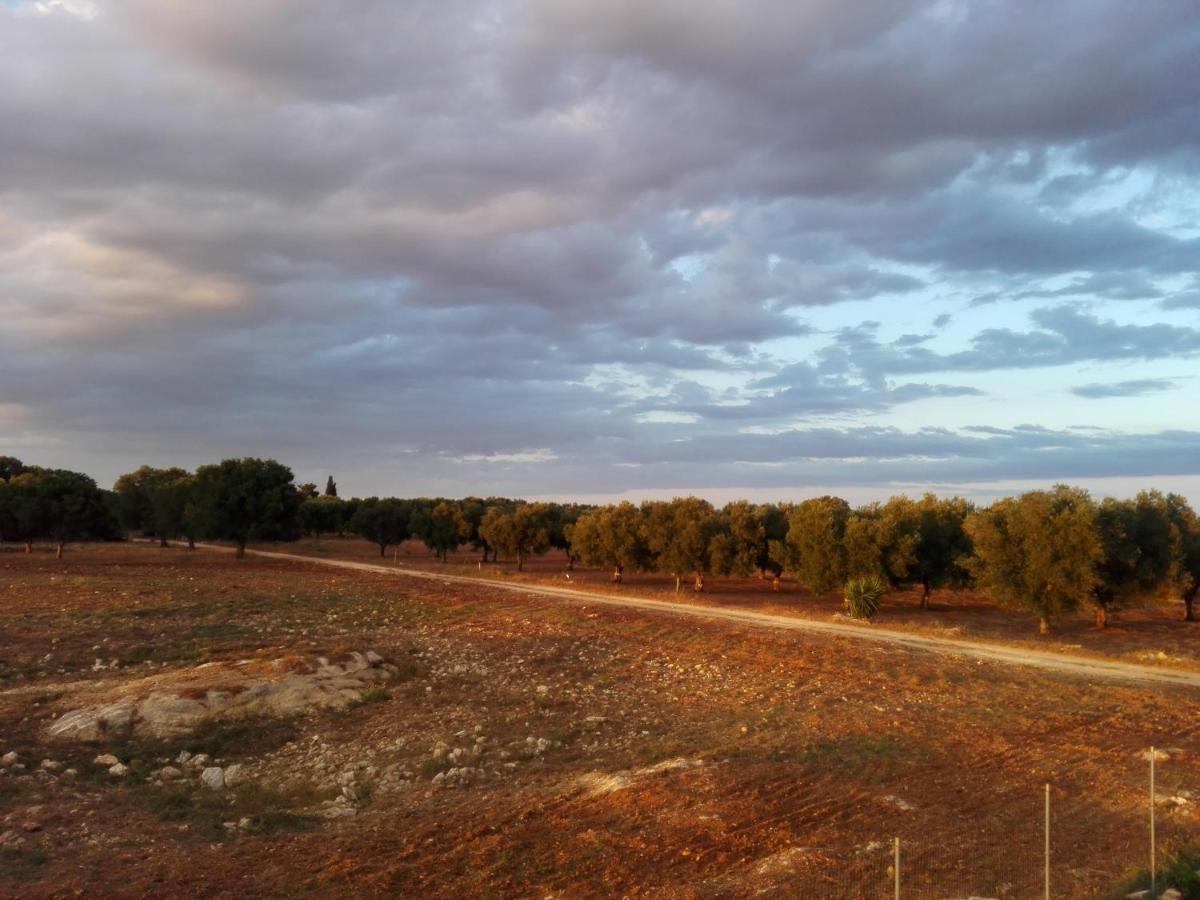Holiday home Le Stelle Di Arneo -