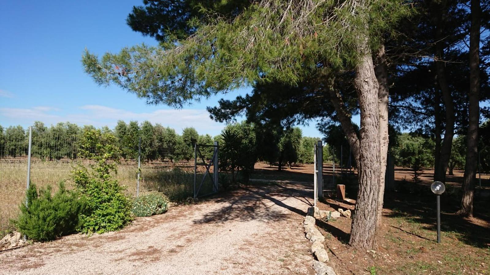 Le Stelle Di Arneo - Holiday home Torre Lapillo